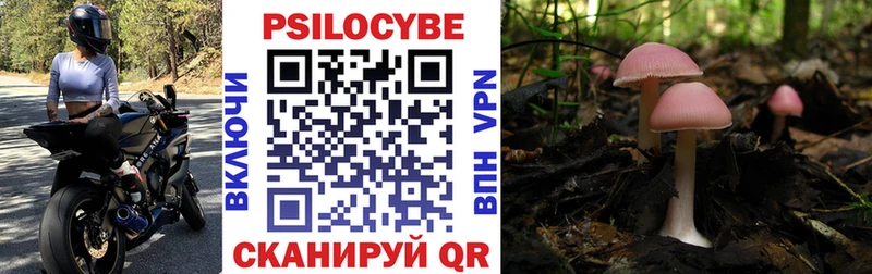 МЕГА как зайти  сколько стоит  Щигры  Галлюциногенные грибы ЛСД 